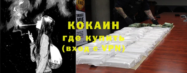 гидра Каменка