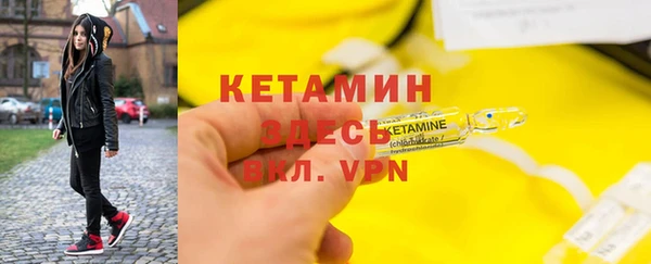гидра Каменка