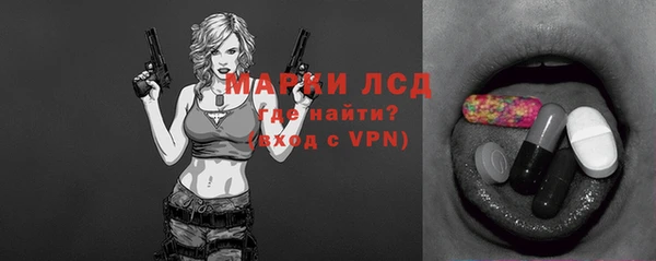 гидра Каменка