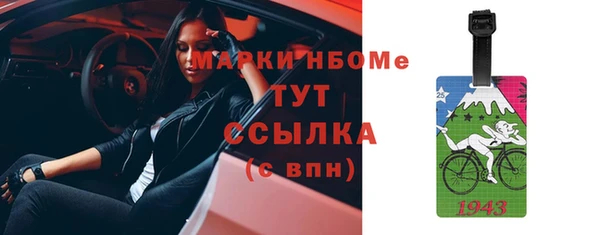 гидра Каменка
