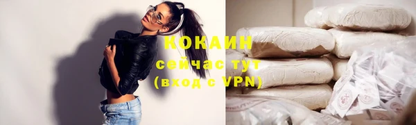 гидра Каменка