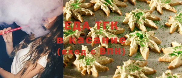 гидра Каменка
