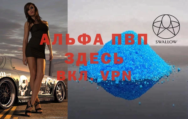 гидра Каменка