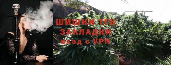 гидра Каменка