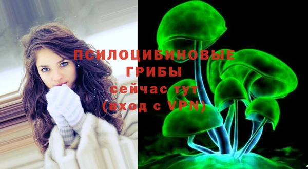 Альфа ПВП Каменногорск