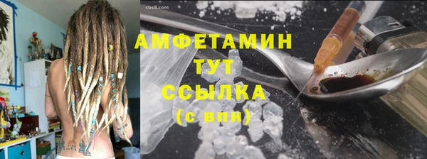 гидра Каменка