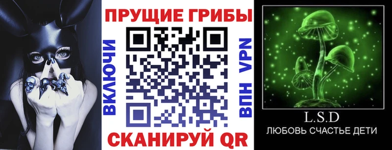 Купить закладки  Сасово  Псилоцибиновые грибы Psilocybe 